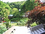 100_0020