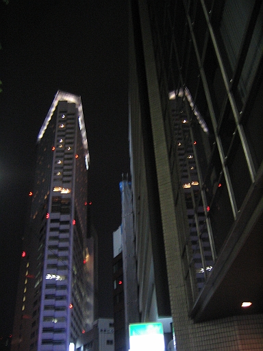 100_0013