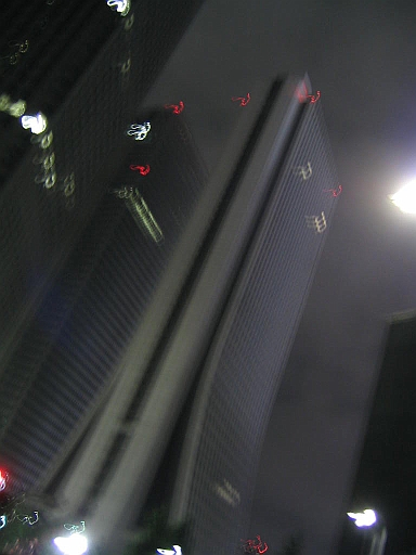 100_0025