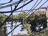 101_0175