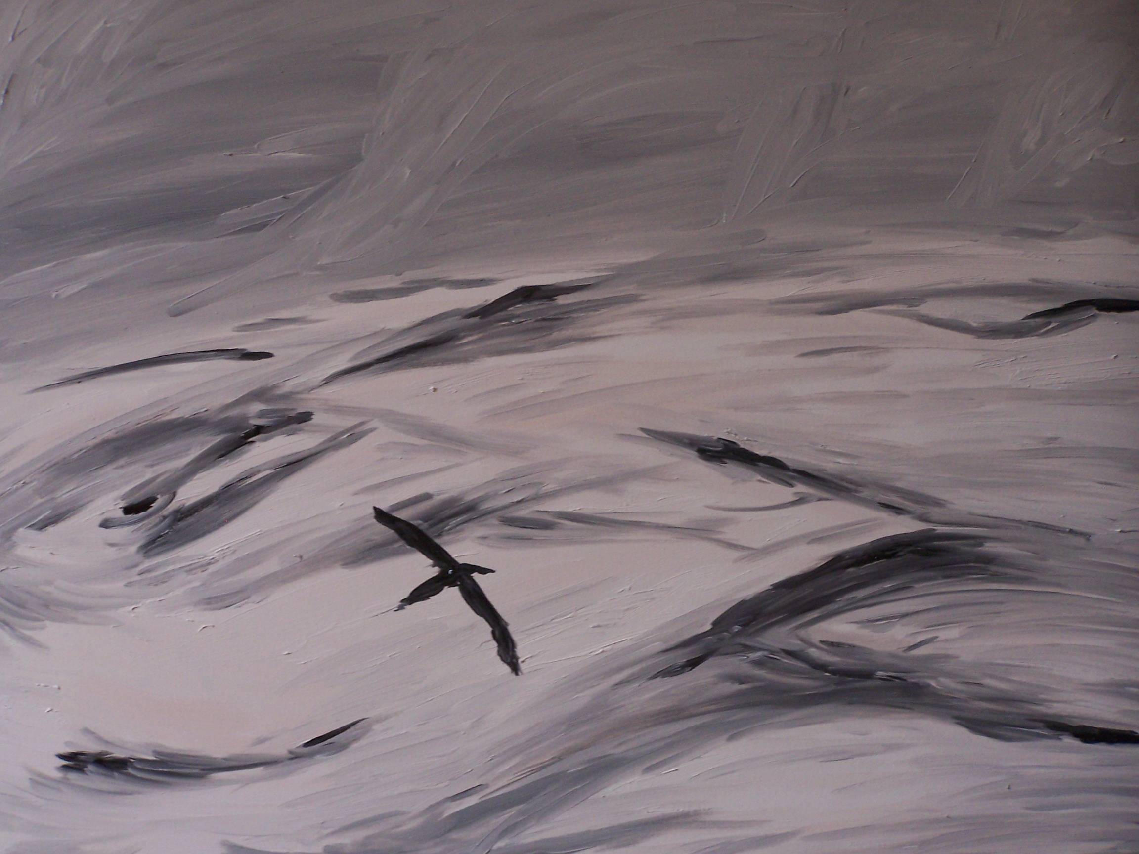 59. Oceano del Sud. Olio su tela 70 x 50